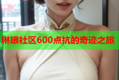 琳琅社区600点抗的奇迹之旅