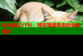 海角社区VPN：畅享网络自由的全新选择