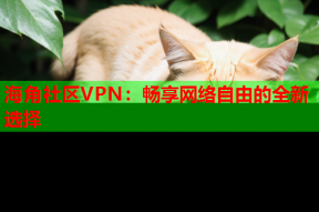 海角社区VPN：畅享网络自由的全新选择