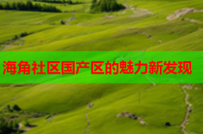 海角社区国产区的魅力新发现