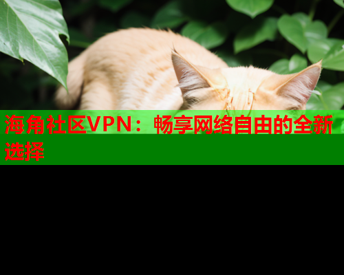 海角社区VPN：畅享网络自由的全新选择  第1张