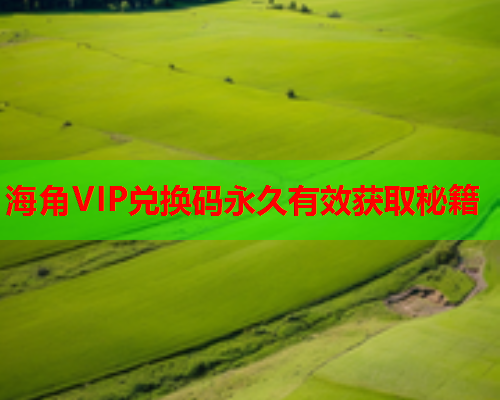 海角VIP兑换码永久有效获取秘籍  第1张