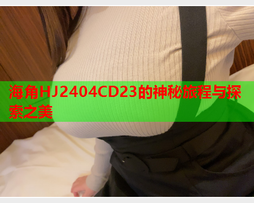 海角HJ2404CD23的神秘旅程与探索之美  第2张